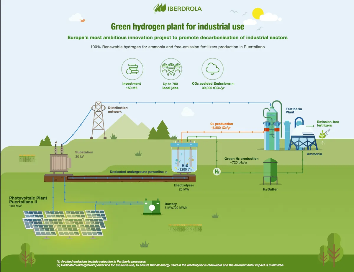 green-hydrogen-hype-deflates-as-industry-faces-reality-check