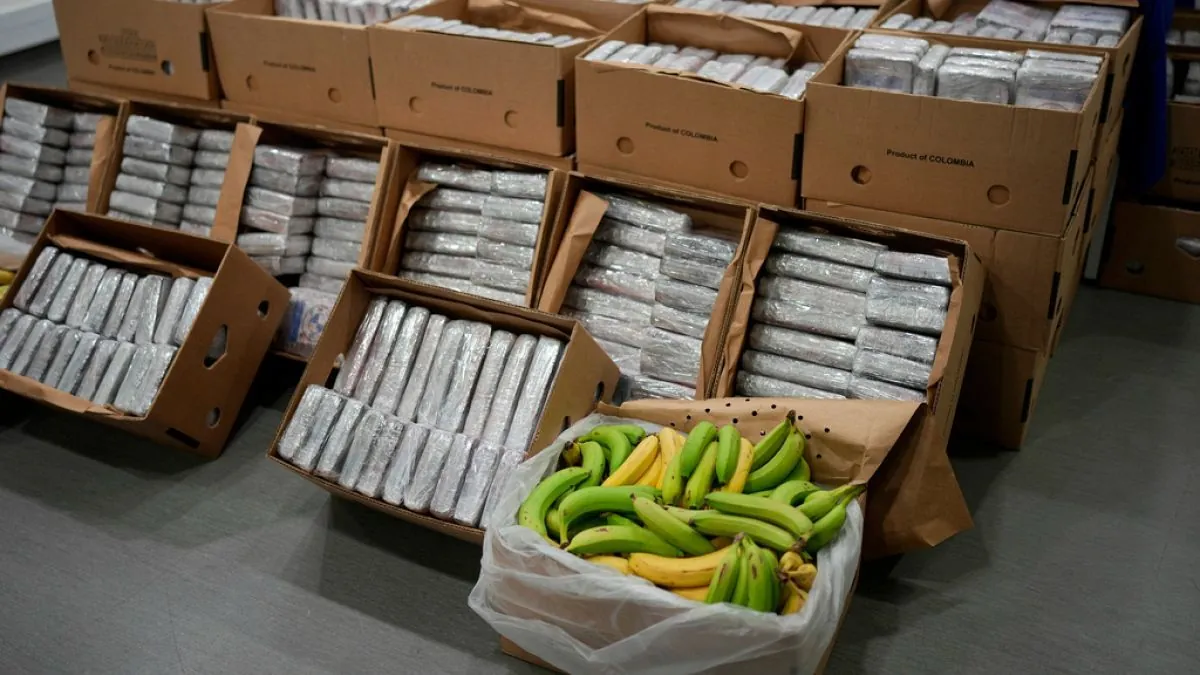 Greek Authorities Seize Million-Euro Cocaine Haul in Banana Shipment