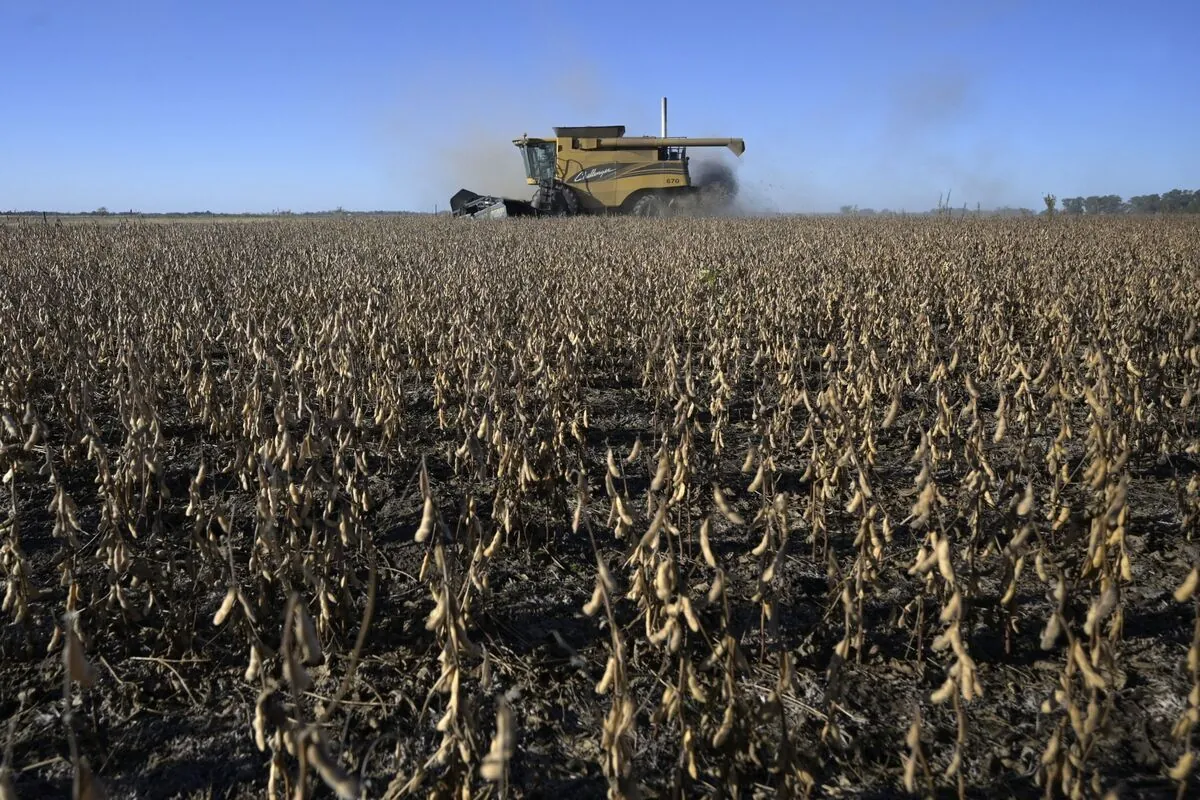 Argentine Soybean Oil Workers Strike, Halting Major Export Industry