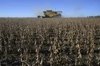 Argentine Soybean Oil Workers Strike, Halting Major Export Industry