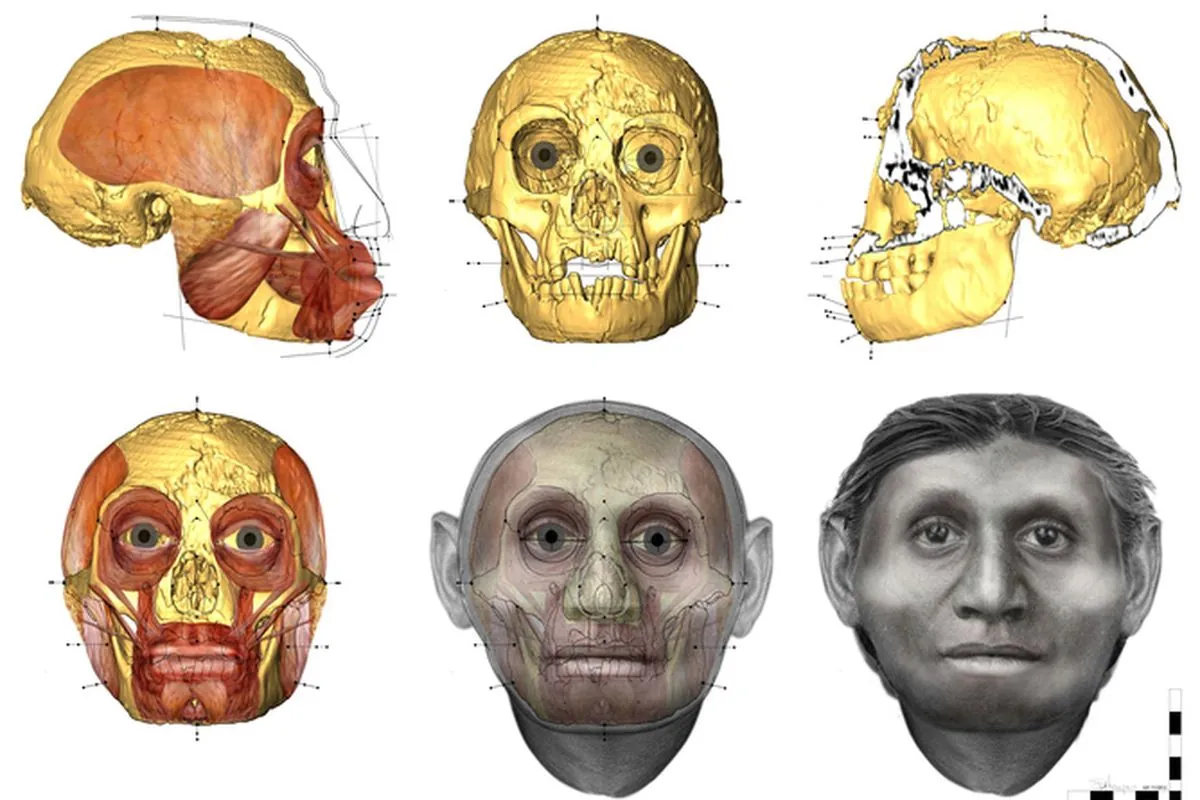 tiny-arm-bone-unveils-origins-of-indonesias-ancient-hobbit-species