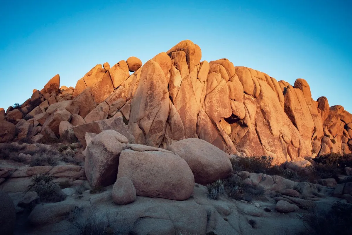 German Tourists Face Charges for Paintball Vandalism in Joshua Tree National Park