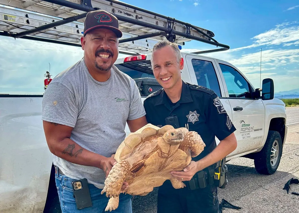 escaped-desert-tortoise-rescued-from-arizona-interstate