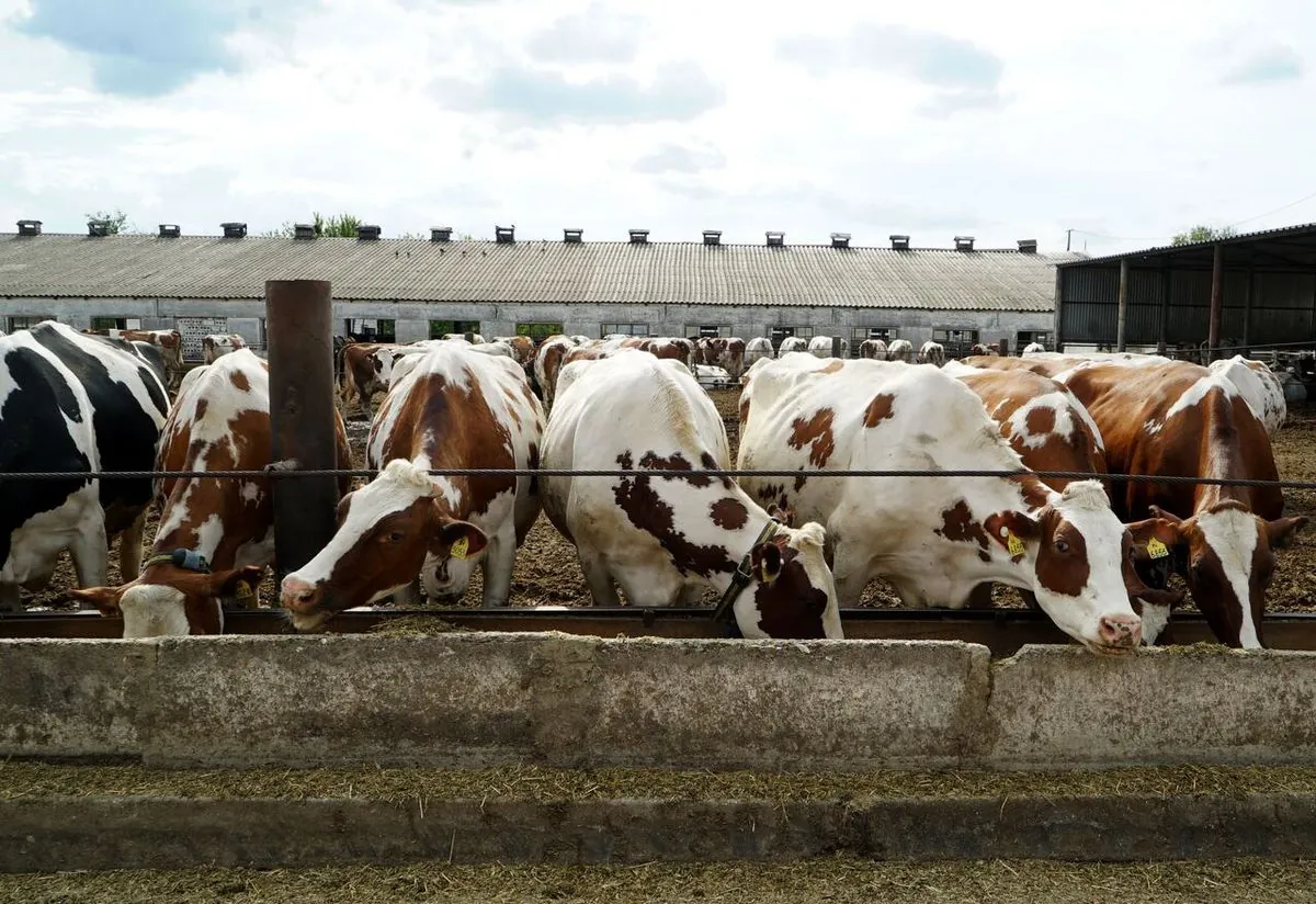 Ukrainian Farmers Endure as Border Conflict Shifts