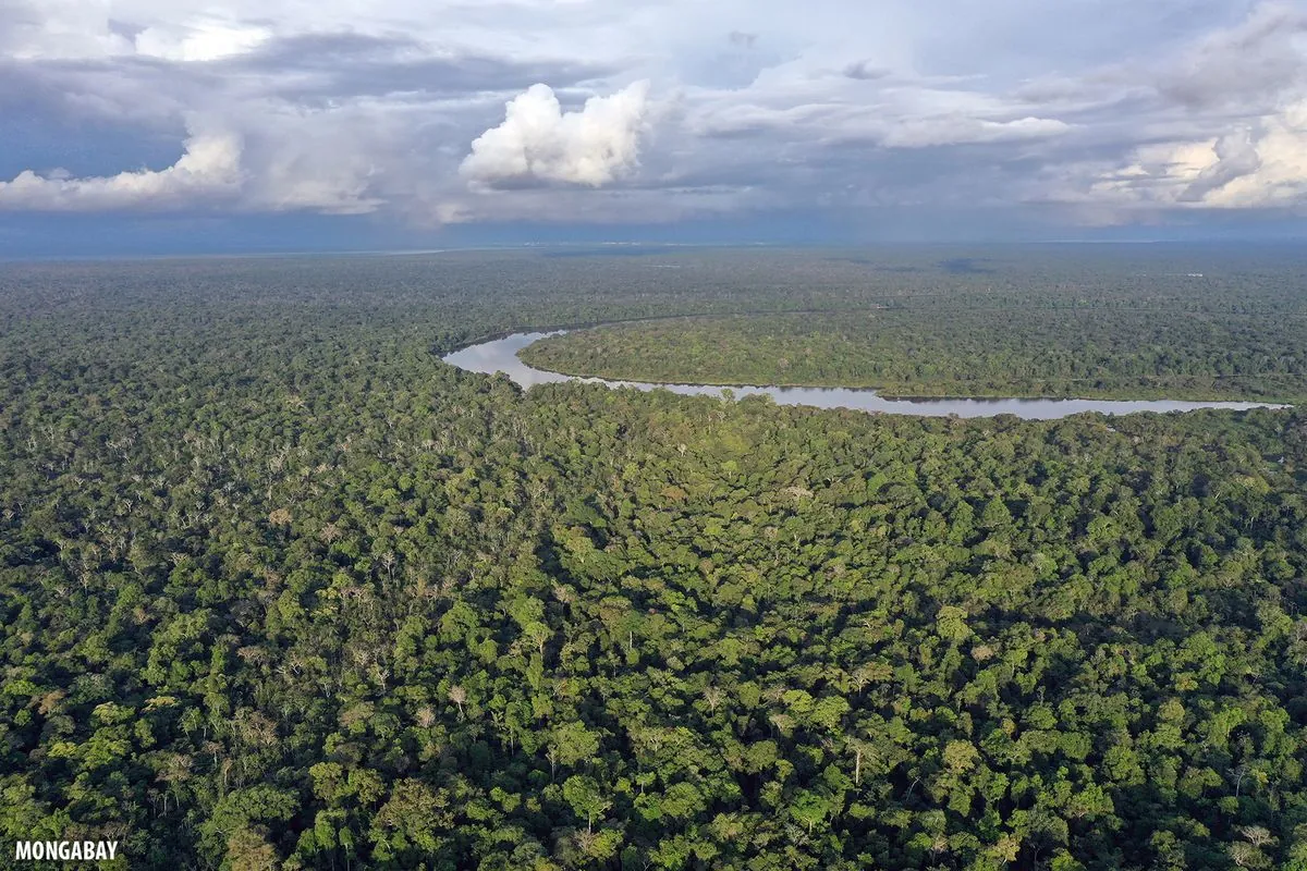 Amazon's Carbon Sink Status at Risk, New Study Reveals