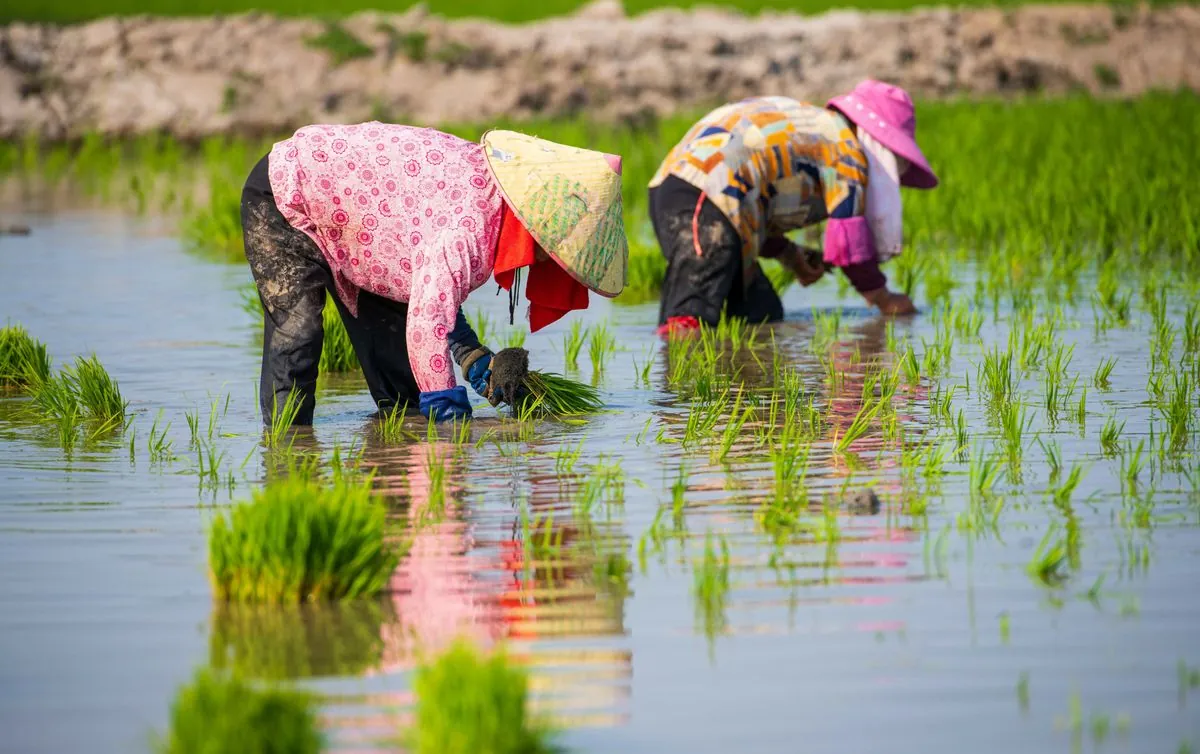 china-bolsters-agricultural-defenses-against-natural-disasters