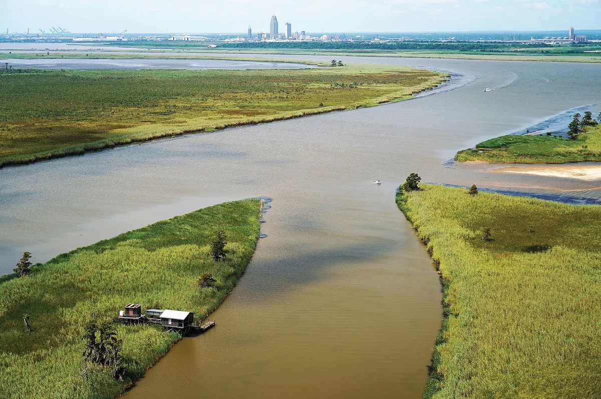 Alabama's Hidden Gem: The Vital Mobile-Tensaw Delta Ecosystem