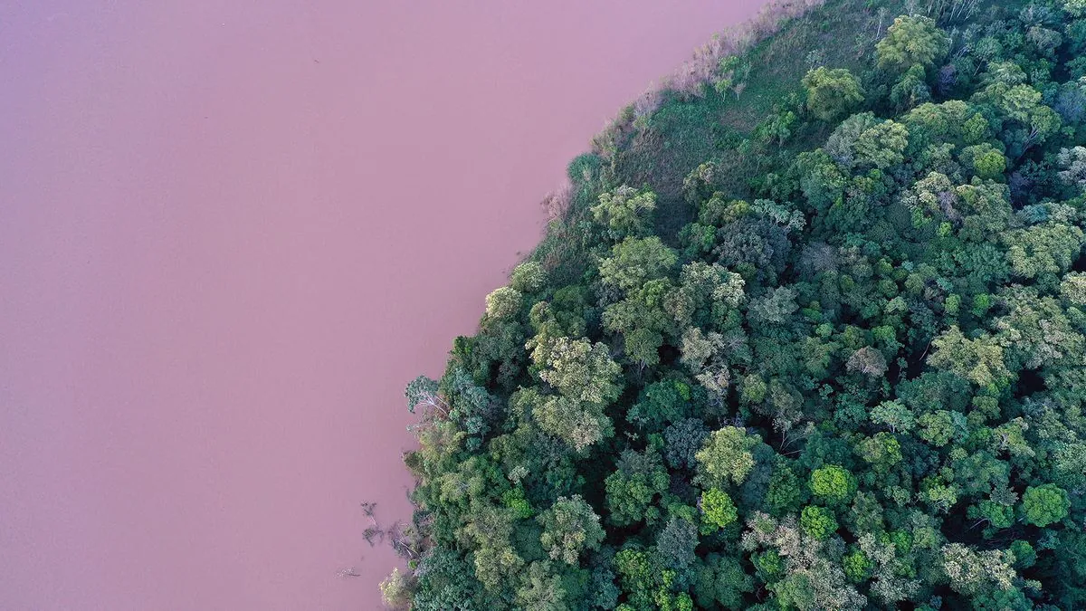 World Bank Launches Landmark $225M Amazon Reforestation Bond