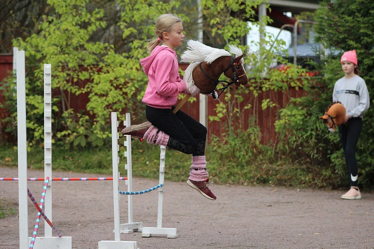 first-us-hobby-horse-championships-gallops-into-michigan