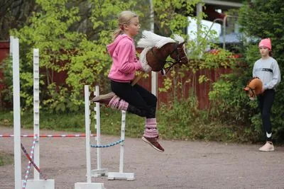 First U.S. Hobby Horse Championships Gallops into Michigan