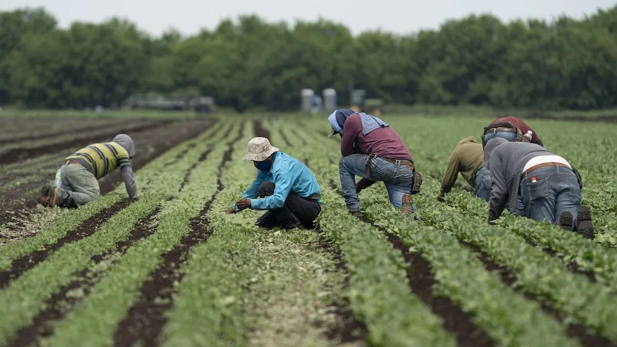 canadas-temporary-foreign-worker-program-calls-for-reform-amid-criticism