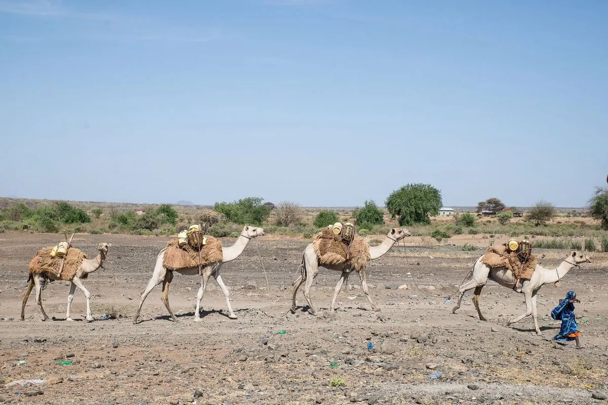 south-korean-missionaries-abducted-eight-killed-in-separate-kenya-border-incidents