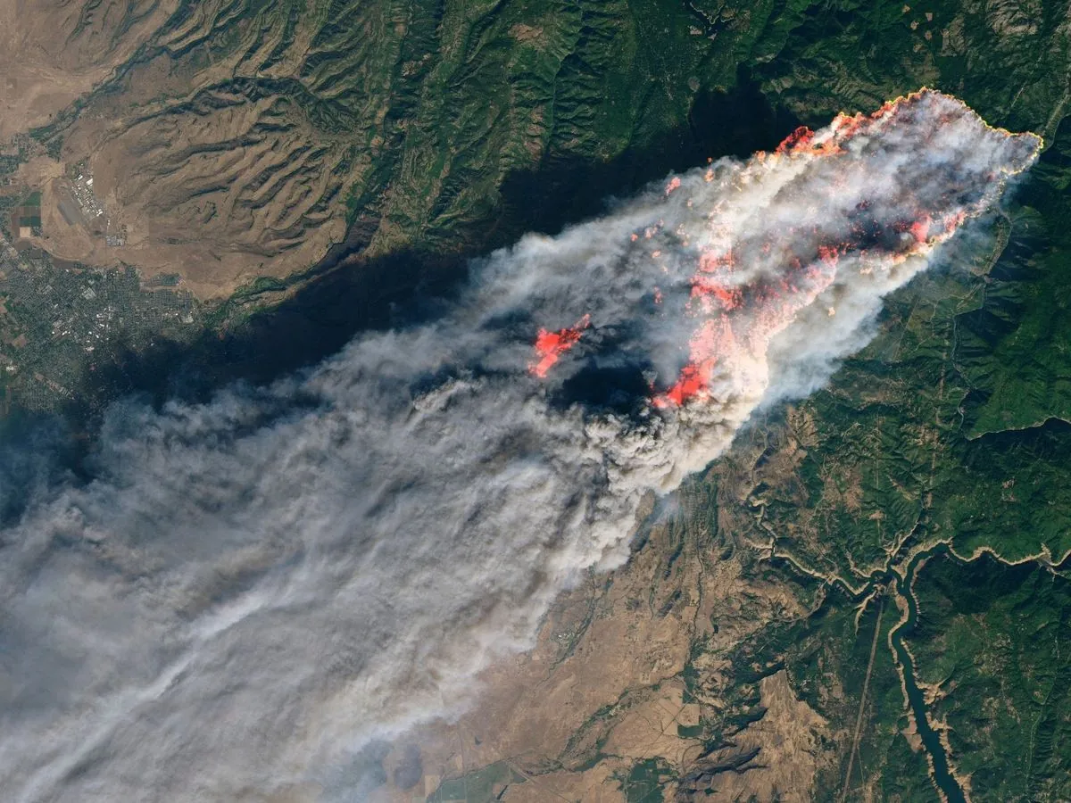 California's Largest 2024 Wildfire: Park Fire 40% Contained, Arson Suspected