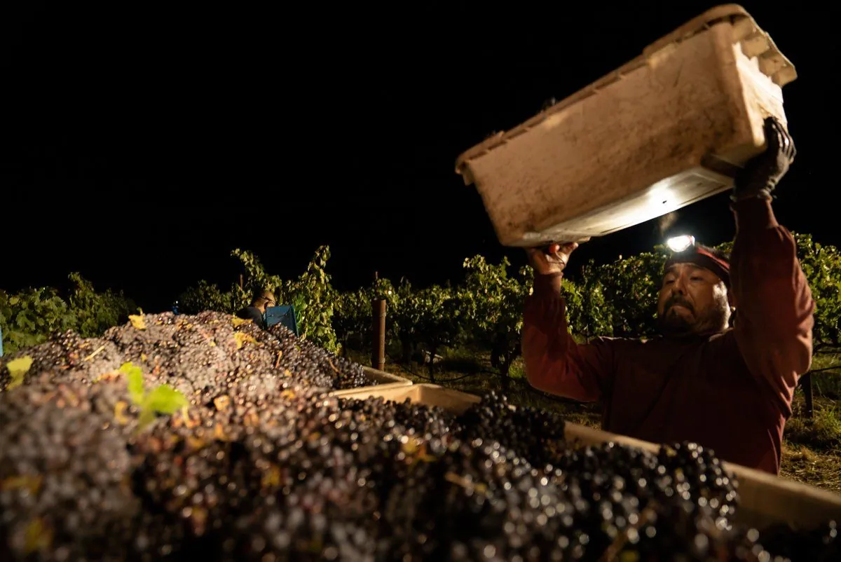 Sonoma Farmworkers Face Health Risks from Wildfire Smoke, Study Reveals