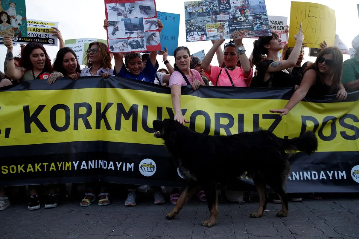 turkish-opposition-challenges-controversial-stray-dog-law