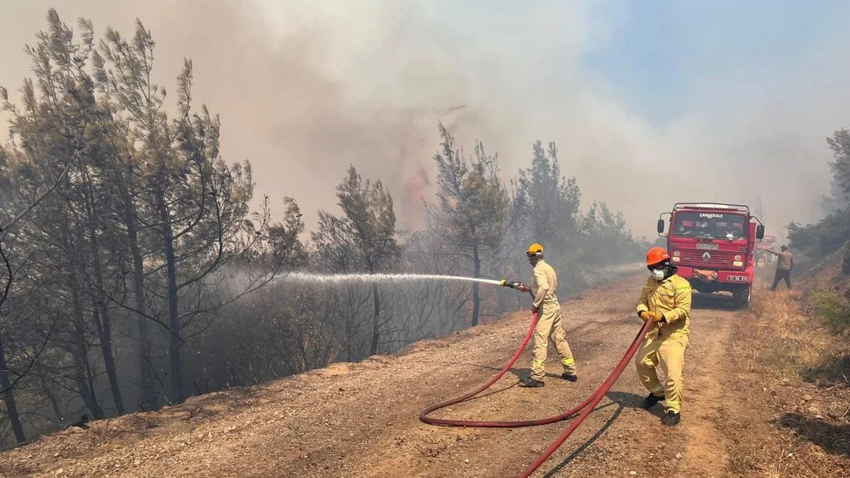 Turkey Battles Wildfires in Three Provinces, Minister Expresses Optimism