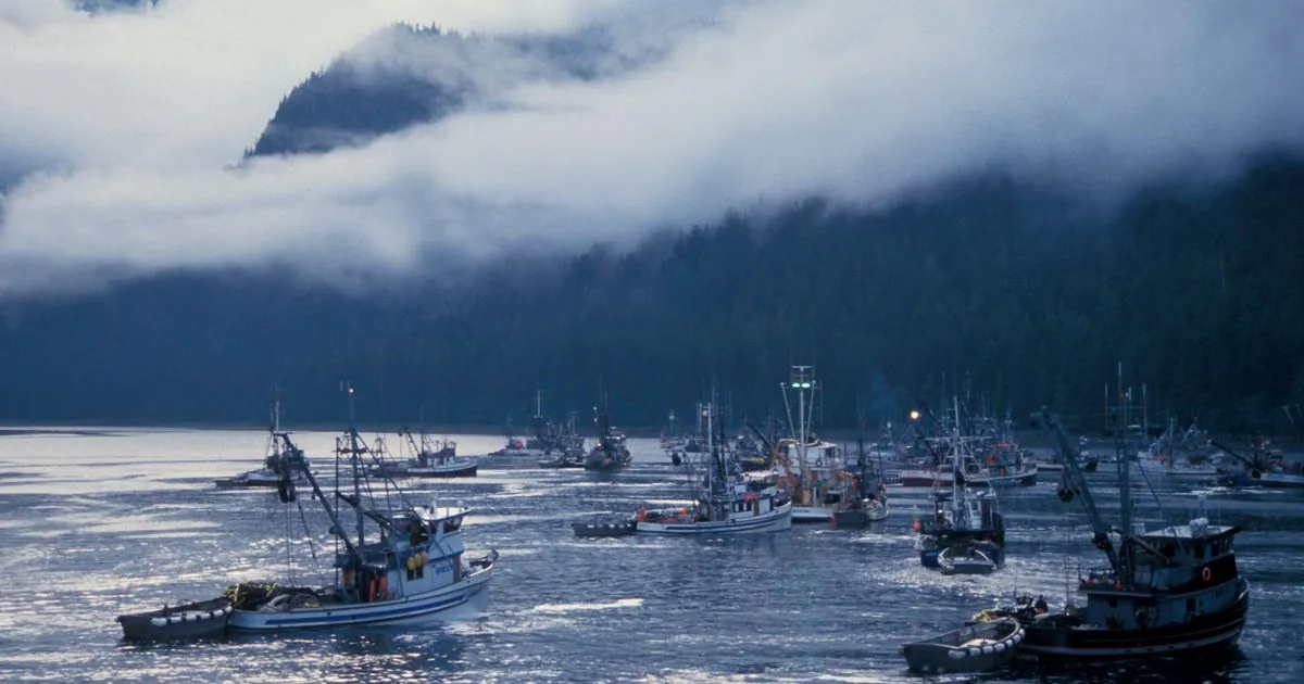 Appeals Court Overturns Alaska Salmon Fishery Shutdown Decision