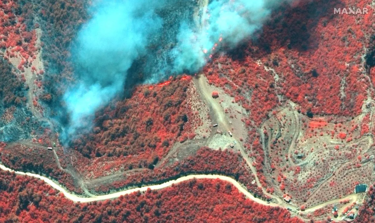 Western Turkey Battles Widespread Wildfires Amid Harsh Weather Conditions