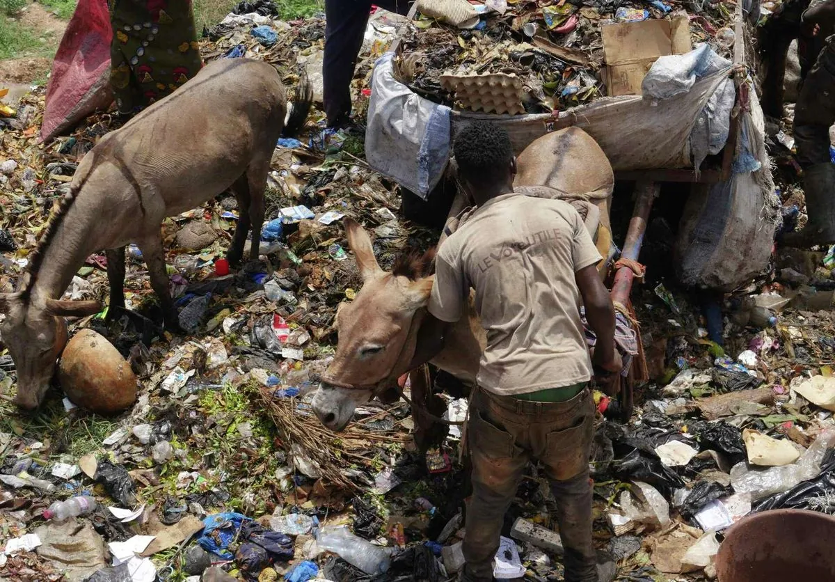 Bamako's Waste Woes: Donkey Carts Fill Gap in Mali's Capital