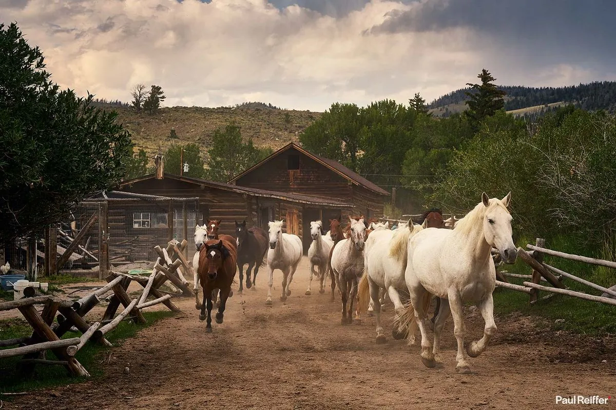 Wyoming's Niobrara County: A Democratic Stronghold Fades in Rural America