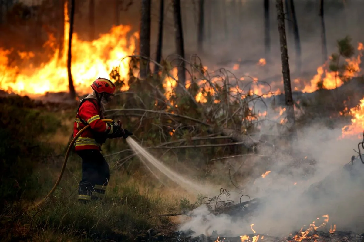 Madeira Battles Wildfire: Hundreds of Firefighters Mobilized