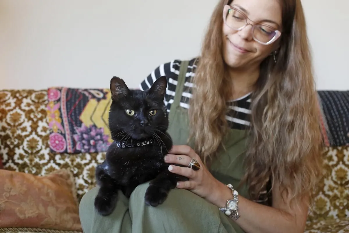 Lost Cat Reunites with Owner After 11-Year Absence Thanks to Microchip