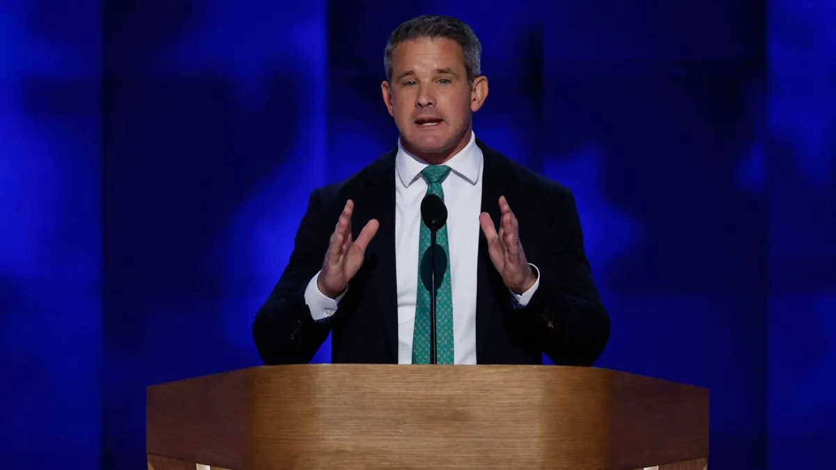 Kinzinger's Democratic Convention Speech Challenges Patriotism Perceptions