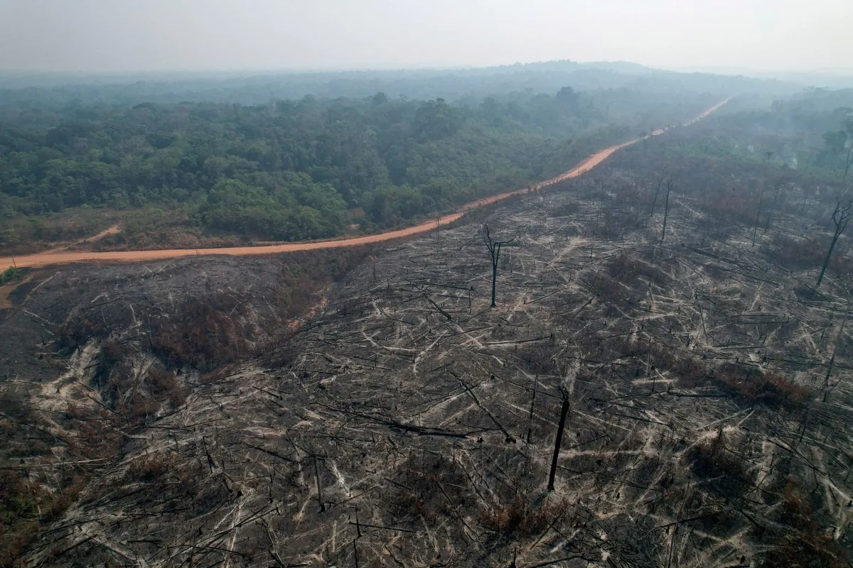 Sao Paulo State Battles Widespread Wildfires, Two Casualties Reported