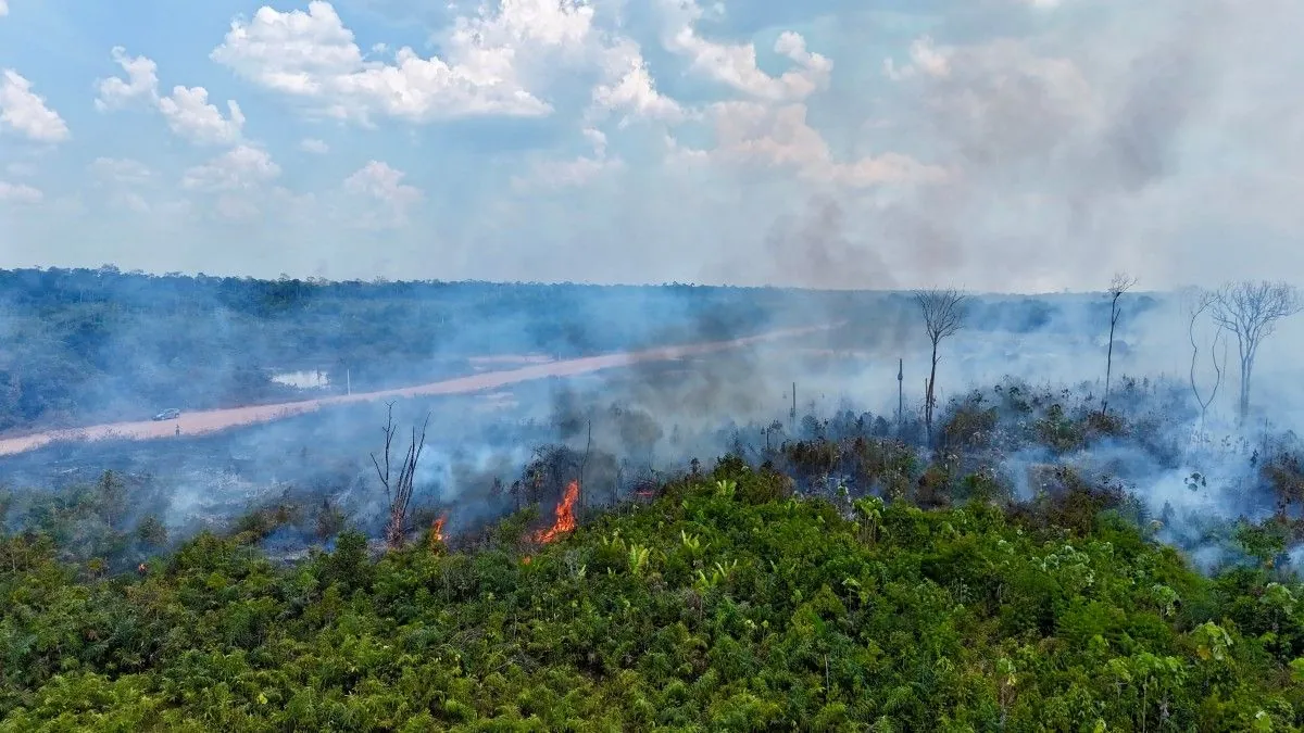 Deadly Wildfires Ravage Sao Paulo State, Brazil: Cities on High Alert