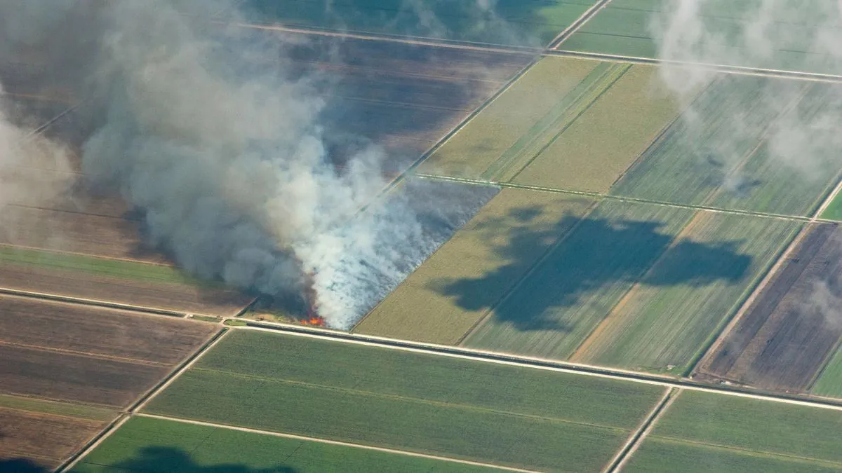 Wildfires Ravage São Paulo State, Impacting Agriculture and Communities