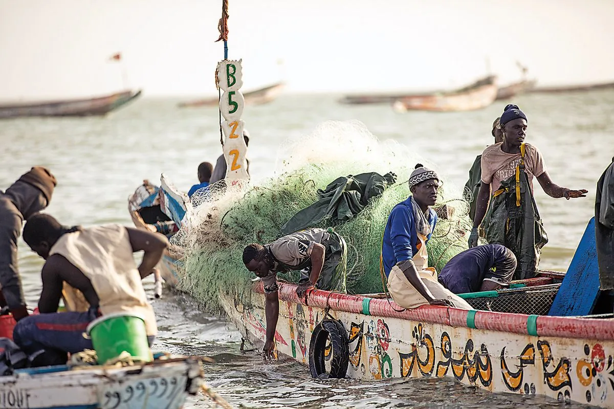 Senegalese Youth Risk Lives for European Dreams Amid Fishing Crisis