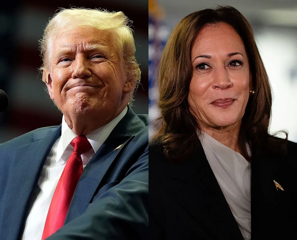 GOP Veterans Endorse Harris, Warn Against Trump's Second Term