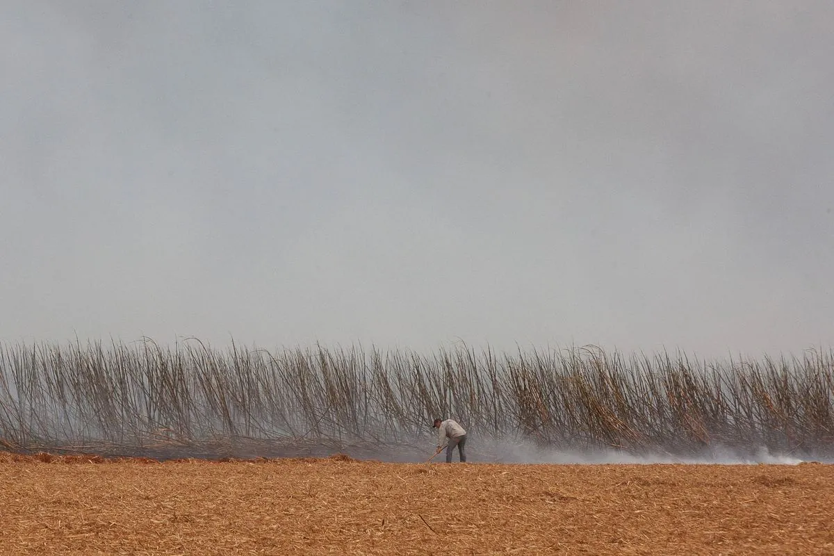 organized-crime-suspected-in-massive-sao-paulo-sugarcane-field-fires