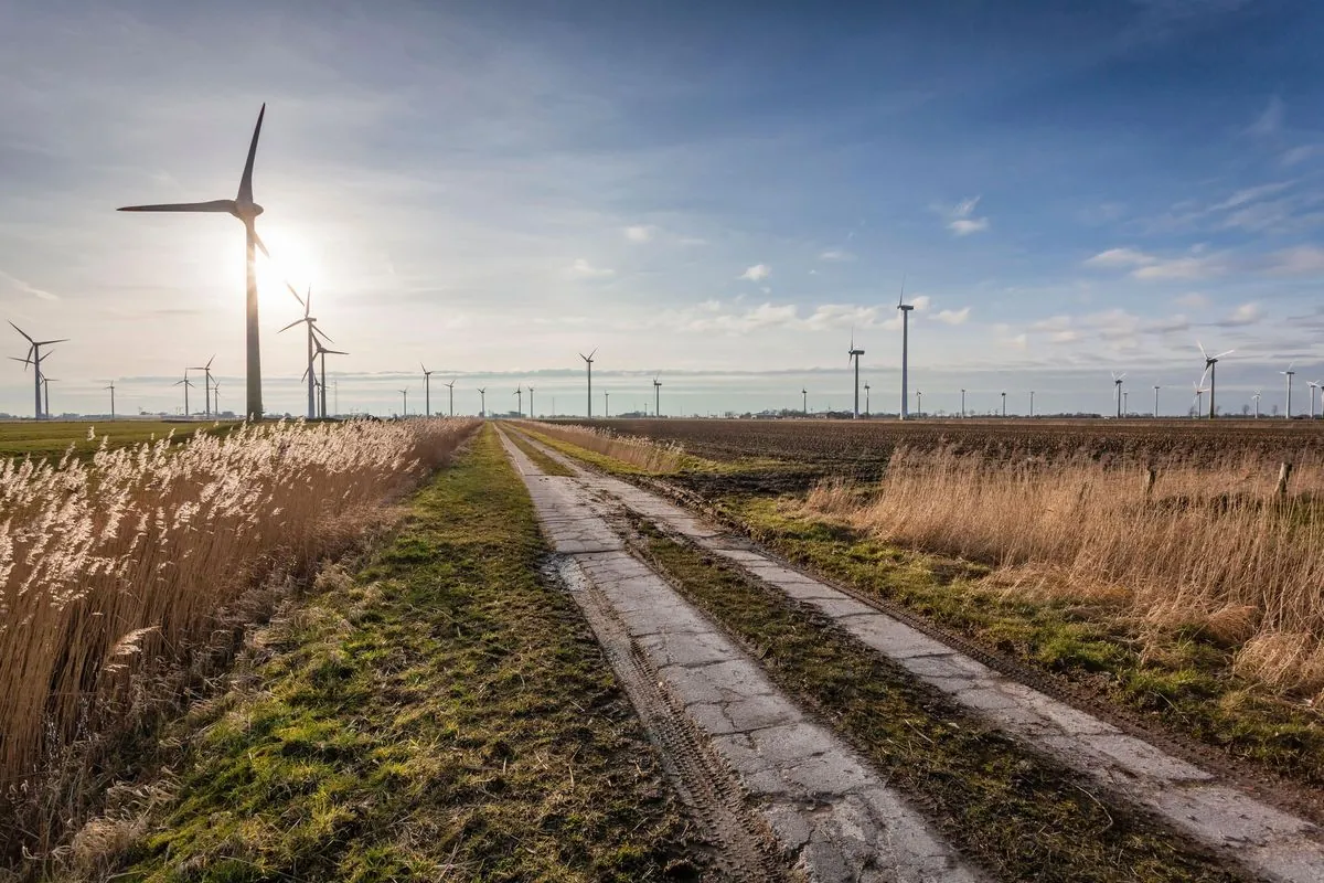 afd-exploits-anti-wind-power-sentiment-in-eastern-german-elections