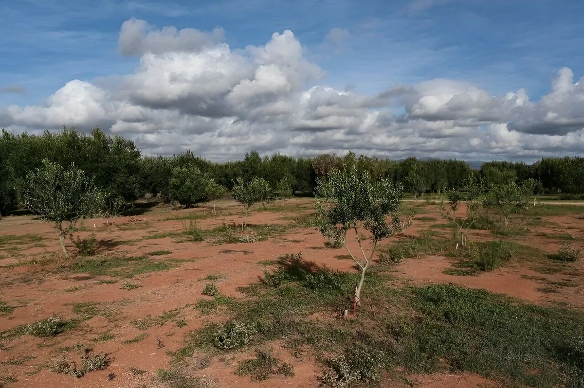 greek-farmers-and-residents-grapple-with-severe-water-crisis