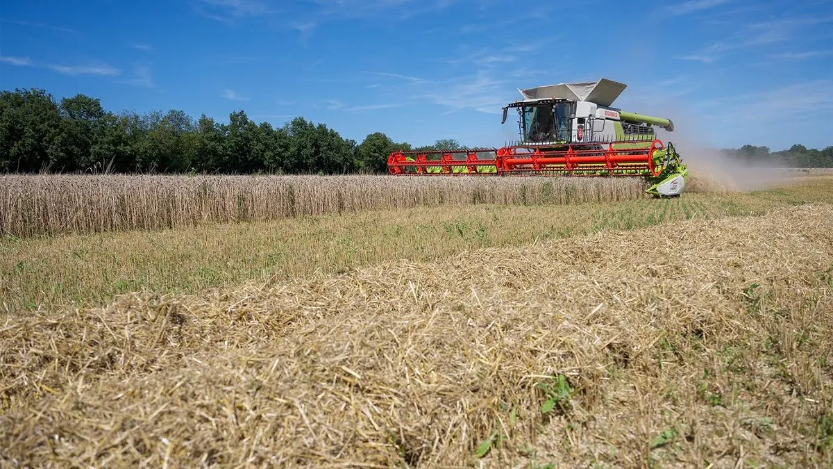 romania-plans-crop-insurance-amid-severe-drought-impact