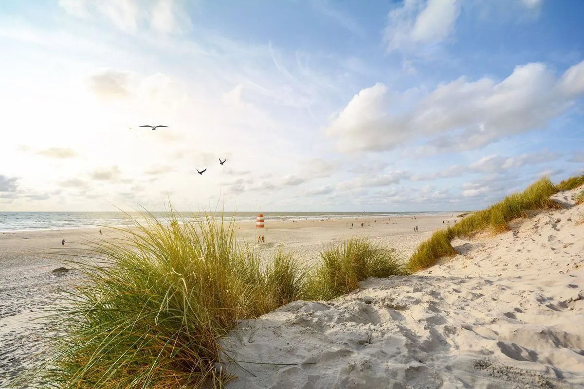 Tragic Dune Collapse Claims Lives of Two German Boys in Denmark