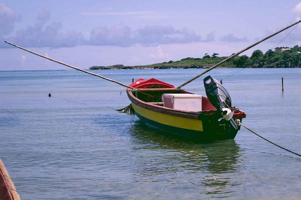 Rare Shark Attack Claims Life of Young Jamaican Spearfisher