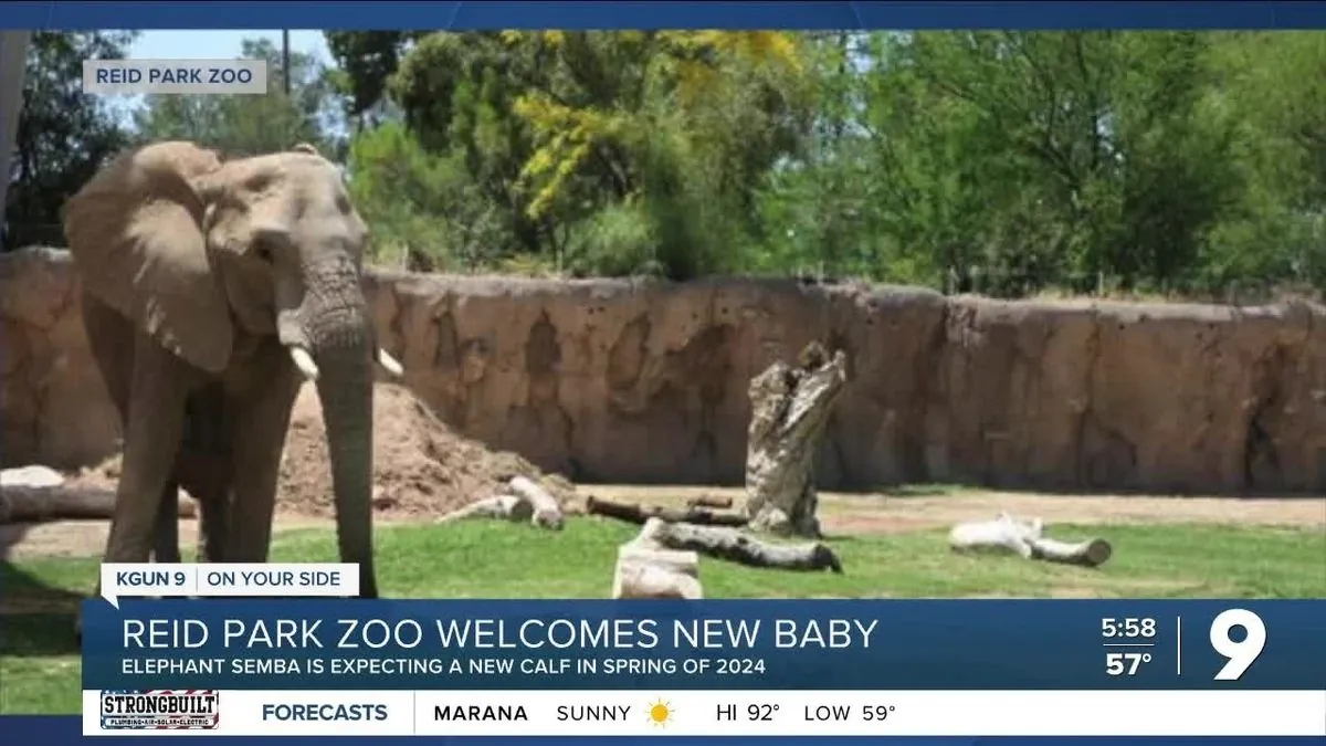 Fresno Zoo Welcomes Two Elephant Calves in Historic Breeding Success