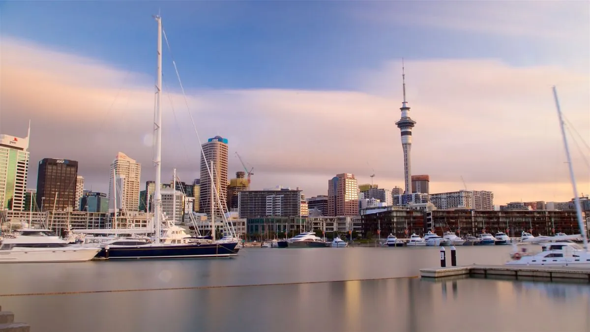 New Zealand Business Confidence Soars to Decade-High in August