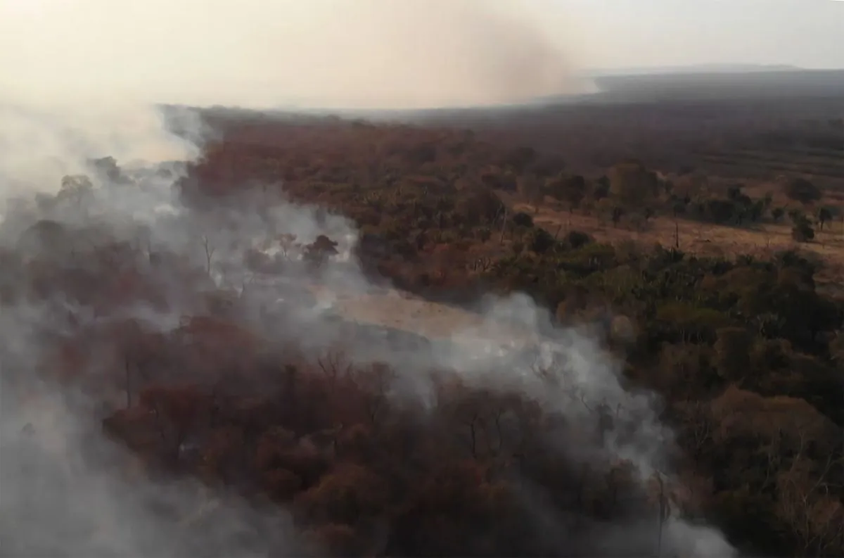 Bolivia Battles Worst Wildfires in 14 Years, 3 Million Hectares Burned