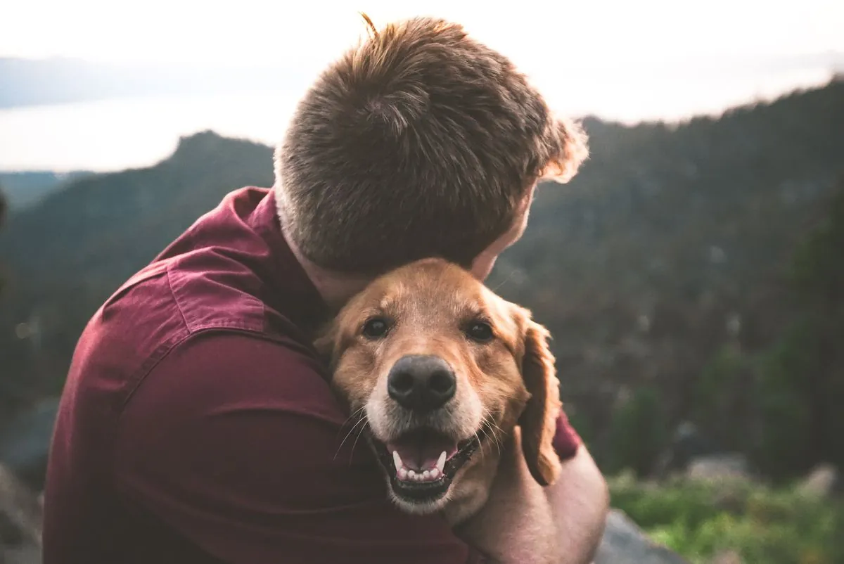 Pet-Friendly Rehab Program Offers Hope for Addiction Recovery