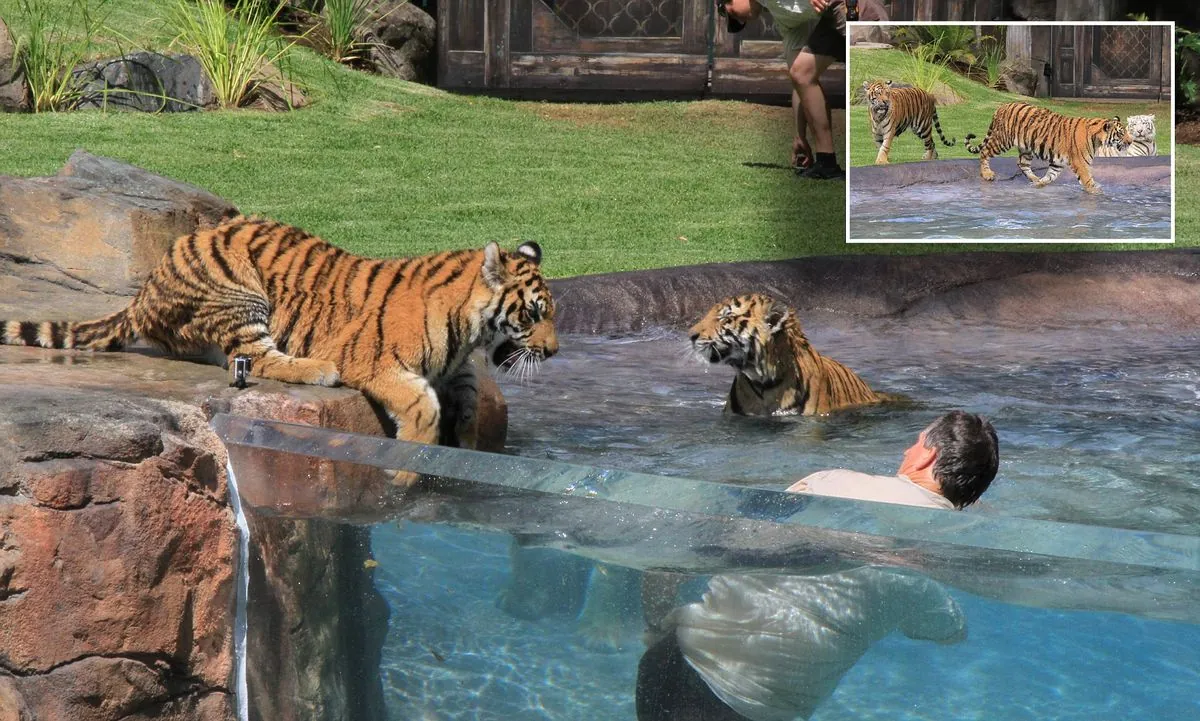 tiger-mauls-handler-at-australian-theme-park-sparking-safety-concerns