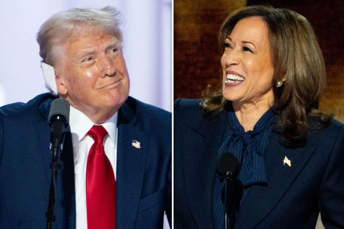 Trump's Campaign Shifts Focus to Harris as Election Enters Final Stretch