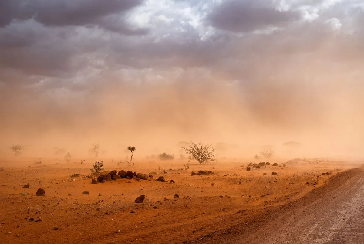 African Nations Lose 5% GDP Annually Due to Climate Change Impact