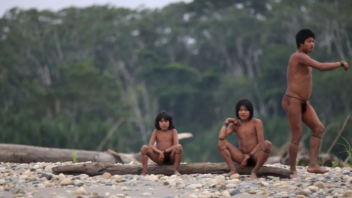 FSC Halts Certification for Peru Logger Amid Uncontacted Tribe Concerns