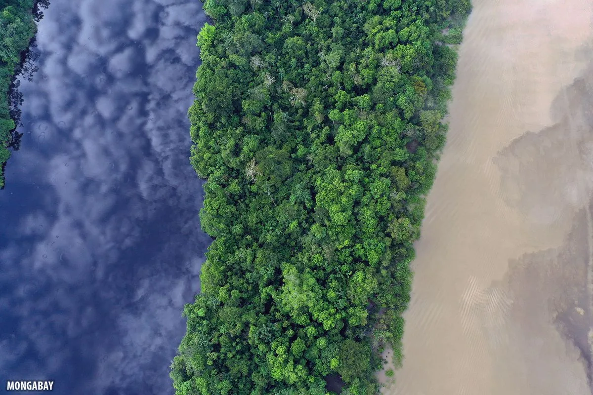 Clash in Peruvian Amazon: Loggers and Isolated Tribe in Deadly Encounter