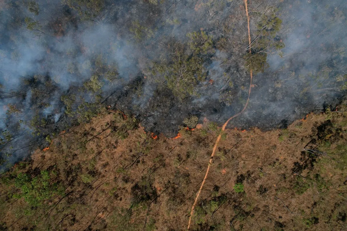 Brasilia's National Forest Fire: 20% Destroyed, Arson Suspected