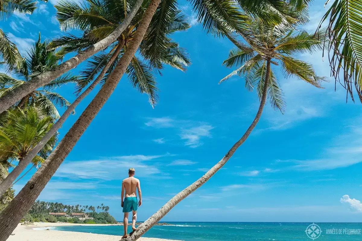 Sri Lanka's Tourism Sector Rebounds Amid Economic Recovery Challenges