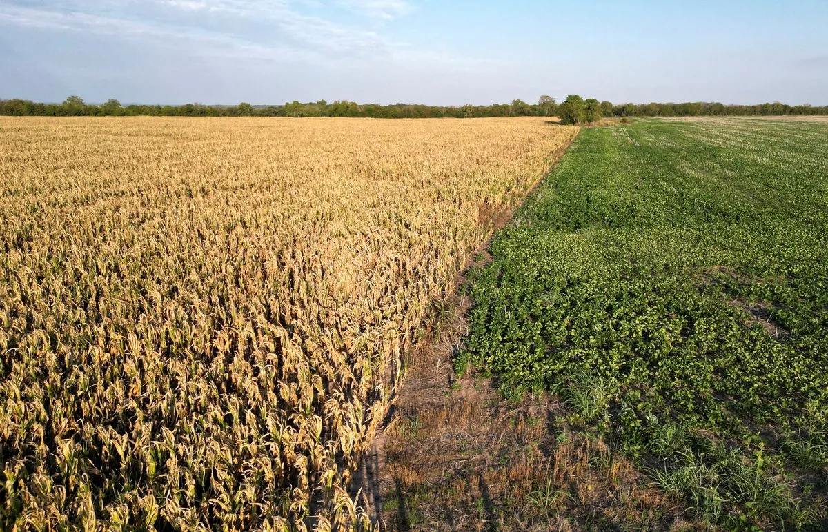 argentinas-breadbasket-faces-dry-spell-impacting-crops